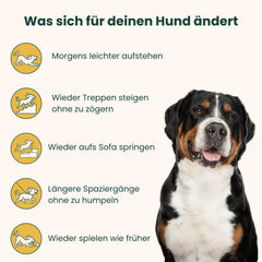 Gelenk & Hüfte Snacks