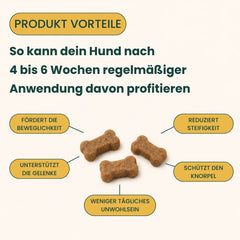 Gelenk & Hüfte Snacks