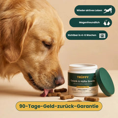 Gelenk & Hüfte Snacks